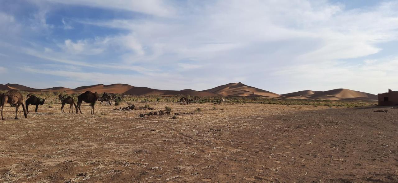 Erg Chegaga Camp Excursions Hotell M'Hamid Eksteriør bilde