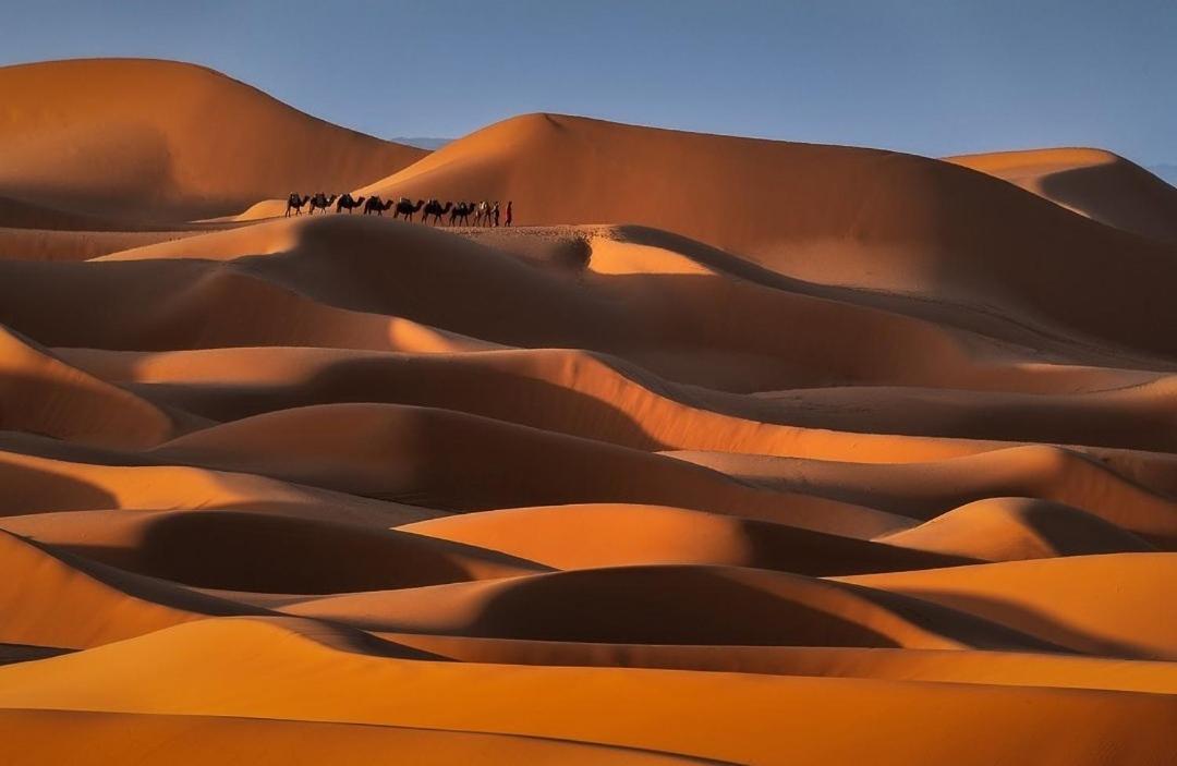 Erg Chegaga Camp Excursions Hotell M'Hamid Eksteriør bilde